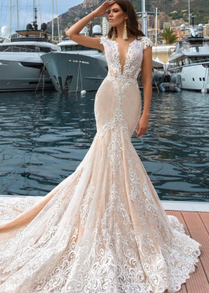 V Neck Ivory Lace Tulle Wedding Dress With Champagne Lining